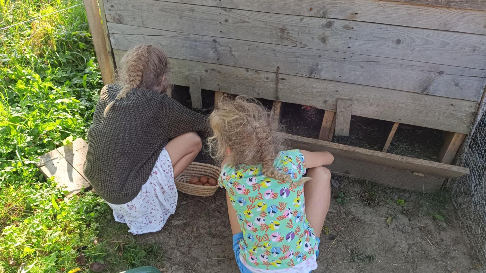 Tourist Farm Strle With Great Local Food Villa Cerknica Exterior foto