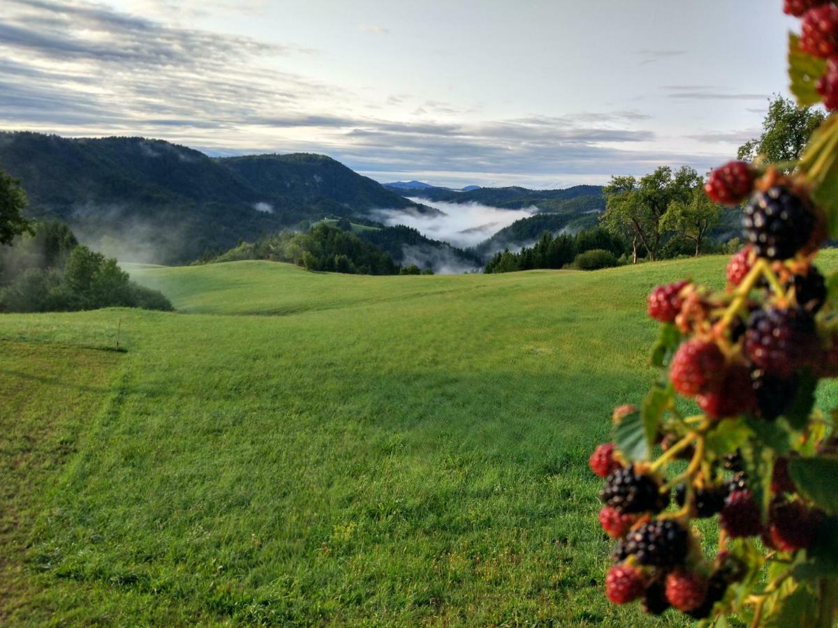 Tourist Farm Strle With Great Local Food Villa Cerknica Exterior foto